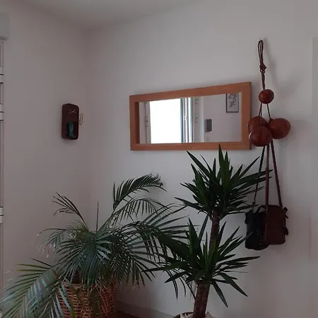 Escapade Au Coeur De La Riviera Bretonne La Forêt-Fouesnant